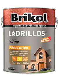 Brikol Ladrillos Incoloro