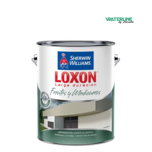 Sherwin Williams Loxon L D Frentes y Medianeras